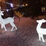 Любимые места отдыха доступны для зимних прогулок