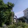 В Кировском районе города Уфы продолжаются работы по омолаживающей обрезке деревьев