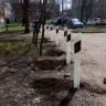 Правила – для автовладельцев, газон - для травы