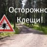 Осторожно, клещи!