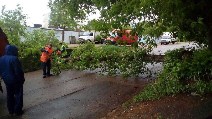 Местные власти устраняют последствия штормового ветра в Уфе
