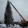 В парке «Кашкадан» появилась новогодняя ель