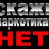 Сохраним здоровый генофонд