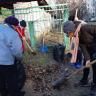В Октябрьском районе прошел массовый субботник