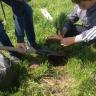 В Нижегородке появилась новая аллея