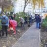 В Кировском районе на аллее «Корабельная» посадили 40 елей