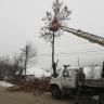 В Демском районе Уфы продолжается кронирование деревьев