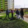 Посади дерево – сделай двор уютным!