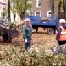 В период проведения санитарного месячника в городском полигоне ТБО мусор принимается бесплатно