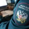 Приближается срок уплаты имущественных налогов за 2018 год