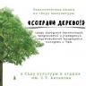 В Уфе состоится экологическая акция по сбору макулатуры «Сохрани дерево!»