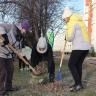 Все на субботник! Вместе сделаем город чище и краше