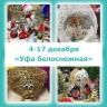 Готовим подарки Деду Морозу: в Советском районе стартует конкурс поделок «Уфа белоснежная»