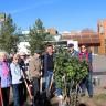 На улице Мубарякова появилась новая аллея