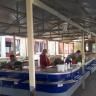 В Уфе оборудованы специальные площадки для продажи садово-огородной продукции
