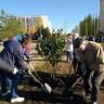 В субботнике на территории Кировского района приняли участие около 9 тысяч человек