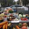 Осенняя ярмарка проходит в Орджоникидзевском районе