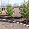 Первомай Октябрьский район встречай!