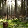 Подготовка важна в любом деле