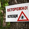 Осторожно, клещи