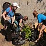 В Октябрьском районе прошла экологическая акция