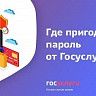 Где может пригодиться пароль от Госуслуг?