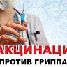 Защити себя от гриппа