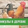 Челлендж #villagelife от студентов экономического факультета БГАУ