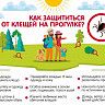 Как обезопасить себя от опасных насекомых
