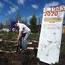 В акции «Сад памяти» может принять участие каждый