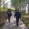 Носить маски в общественных местах необходимо