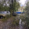 В Уфе зафиксированы случаи падения деревьев из-за порывов ветра
