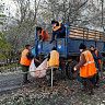 В Демском районе проходит День чистоты