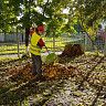 В Демском районе пройдет день чистоты
