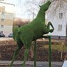 Во дворе дома № 14/1 по ул. Парковой идет ремонт по программе «Башкирские дворики»