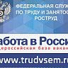 Инструкция по оформлению государственной услуги содействия гражданам в поиске подходящей работы